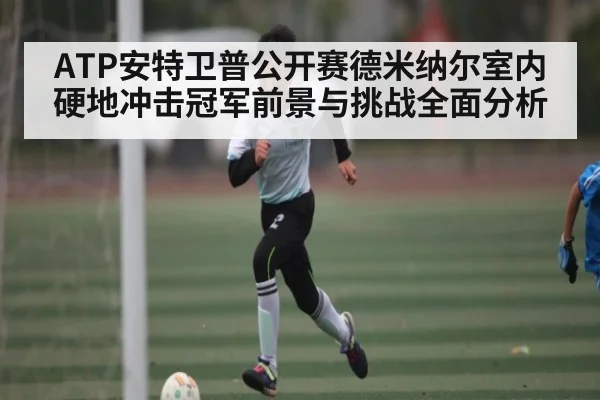 ATP安特卫普公开赛德米纳尔室内硬地冲击冠军前景与挑战全面分析